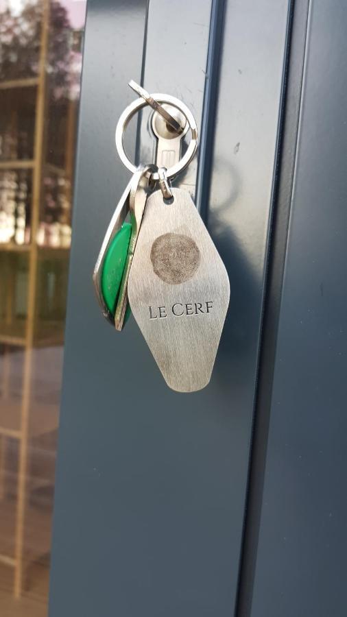 Le Domaine Des Anges, Ecolodge Le Controis-en-Sologne Esterno foto